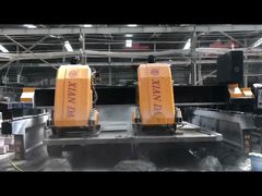 बीएलएमएम-1800-2डी